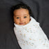 Lulujo - Cotton Swaddle - Fish / Navy Gingham - 2 Pack
